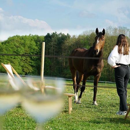 Villa Tiny House Centre Equestre - 35 Mins De Paris Chambly Exterior foto